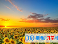 瀘州2021年中考志愿如何填報(bào)