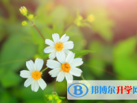 瀘州2021年中考志愿填報(bào)