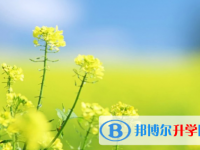 瀘州2021年中考志愿填報(bào)技巧