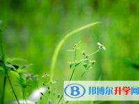 瀘州2021年中考志愿填報(bào)網(wǎng)址