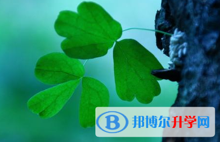 德陽(yáng)2021年中考咨詢熱線電話號(hào)碼