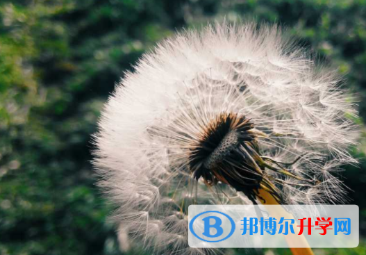 綿陽(yáng)2021年中考報(bào)名系統(tǒng)