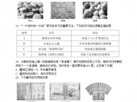 綿陽2021年中考試題