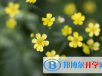 綿陽(yáng)2021年中考志愿官網(wǎng)