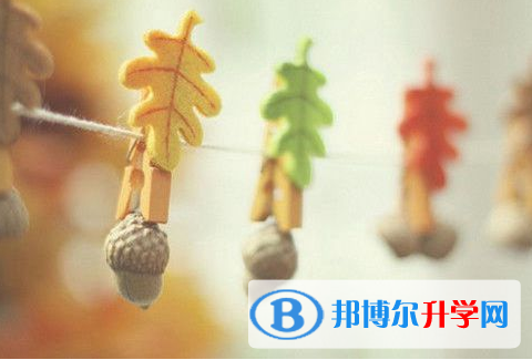 廣元2022年中考志愿填報(bào)網(wǎng)址