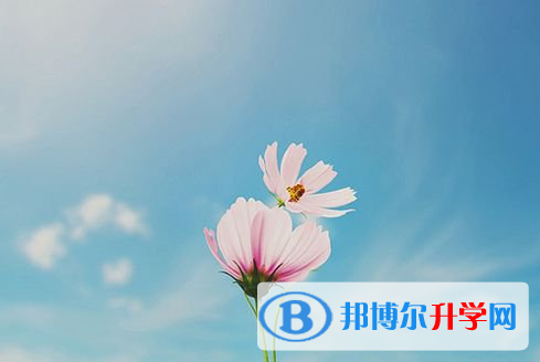 遂寧2022年中考成績(jī)?cè)谀睦锊樵? width=