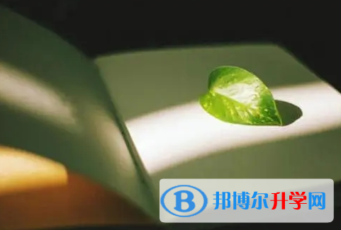 南充2022年中考錄取報名網(wǎng)