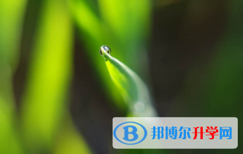 廣安2022年近年中考重點(diǎn)線