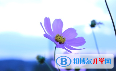 廣安2022年中考報(bào)名網(wǎng)址