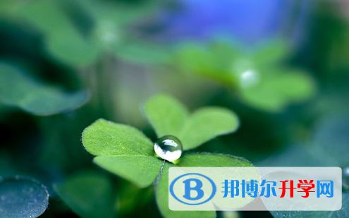 達(dá)州2022年中考網(wǎng)上模擬報名