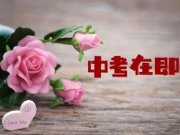 資陽2022年中考招生學校
