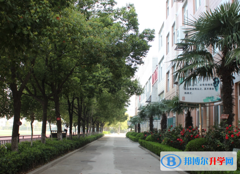 南京第二十九中學2023年網(wǎng)站網(wǎng)址
