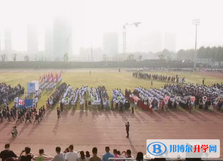 合肥第五中學(xué)2023年招生計劃 