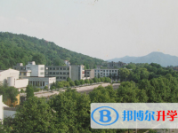 浙江大學(xué)附屬中學(xué)2025年招生簡章
