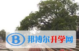 重慶長生橋中學校2023年課程體系