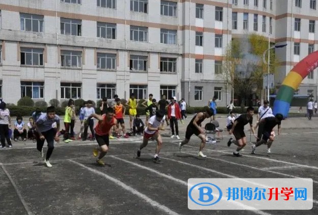 七臺河市第二中學(xué)地址，乘車路線