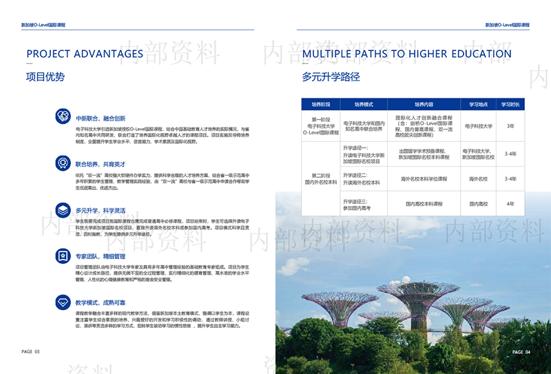 電子科技大學新加坡O-Level國際課程2024年招生簡章