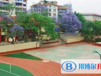 自貢六中招生簡(jiǎn)章2025年