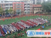 2025自貢六中招生計(jì)劃 招生人數(shù)是多少(附要求、條件、對(duì)象)