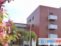 2025綿陽市豐谷中學招生計劃 招生人數(shù)是多少(附要求、條件、對象)