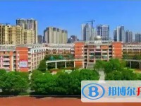 2025安州中學招生計劃 招生人數(shù)是多少(附要求、條件、對象)