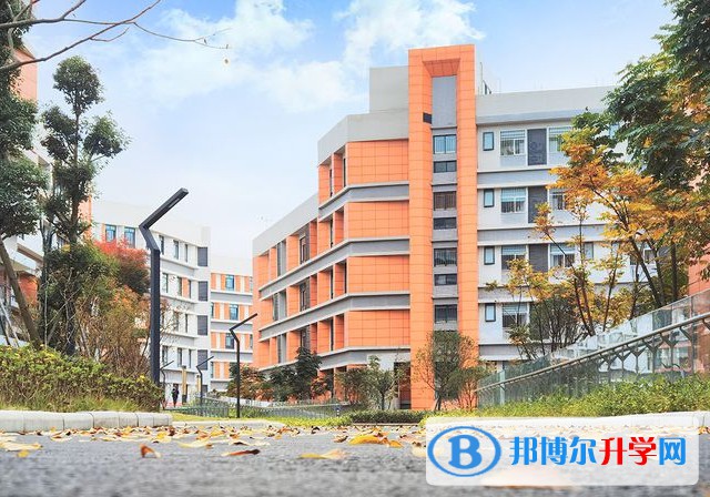 2025綿陽市育英高級中學招生計劃 招生人數是多少(附要求、條件、對象)