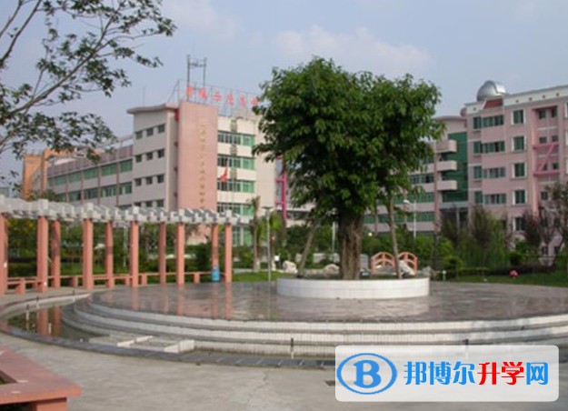 2025四川省旺蒼縣普濟中學招生計劃 招生人數是多少(附要求、條件、對象)
