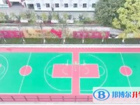 2025蒼溪縣城郊中學招生計劃 招生人數是多少(附要求、條件、對象)