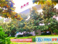 2025四川省廣元外國語學校招生計劃 招生人數是多少(附要求、條件、對象)